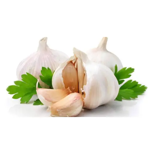 .webp